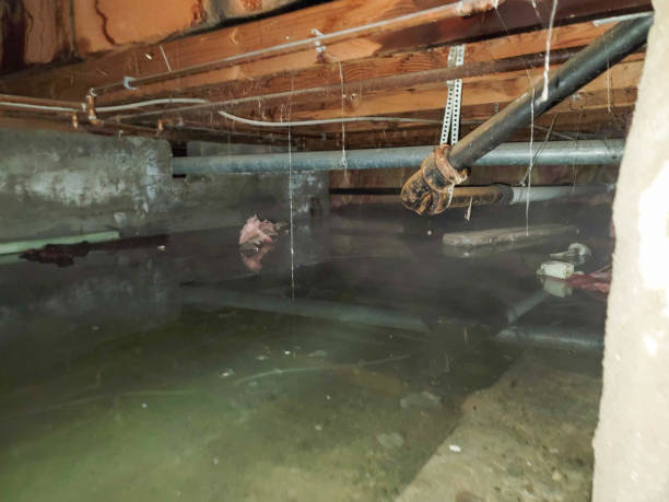 Best Water damage contractors near me  in Bodfish, CA