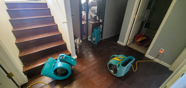 Best Ceiling water damage repair  in Bodfish, CA