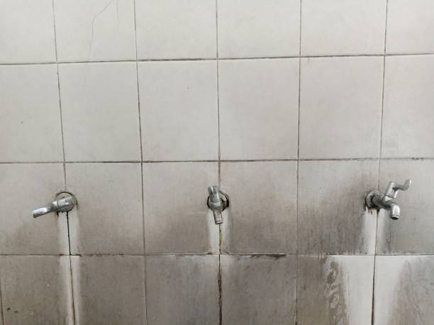 Best Flood damage cleanup  in Bodfish, CA