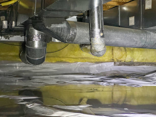 Best Flood restoration services  in Bodfish, CA