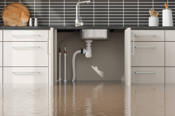 Best Local water damage restoration  in Bodfish, CA